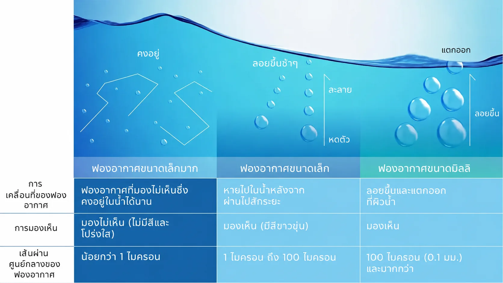 Ultra Fine Bubbles, Micro Bubbles, and Milli Bubbles — size, visibility, and behaviour comparison.